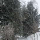 Winterwanderweg Pf__nderregion 2011 _9__jpg-1294047114