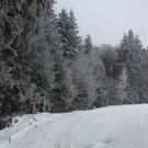 Winterwanderweg Pf__nderregion 2011 _2__jpg-1294046921