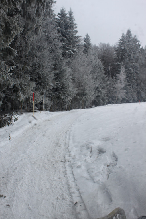 Winterwanderweg Pf__nderregion 2011 _2__jpg-1294046921