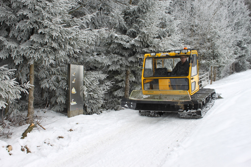 Winterwanderweg Pf__nderregion 2011 _4__jpg-1294046997