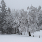 Winterwanderweg Pf__nderregion 2011 _13__jpg-1294047200