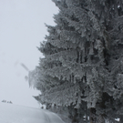 Winterwanderweg Pf__nderregion 2011 _10__jpg-1294047133