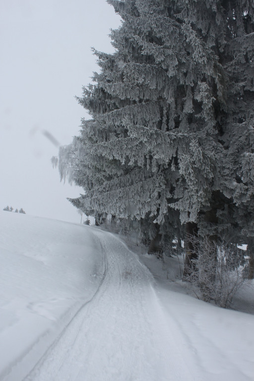 Winterwanderweg Pf__nderregion 2011 _10__jpg-1294047133