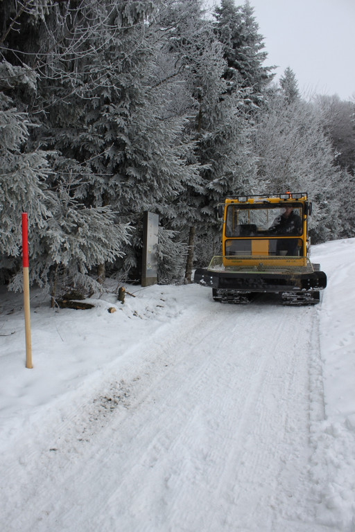 Winterwanderweg Pf__nderregion 2011 _5__jpg-1294047021