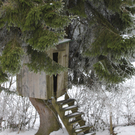 Winterwanderweg Pf__nderregion 2011 _14__jpg-1294047230