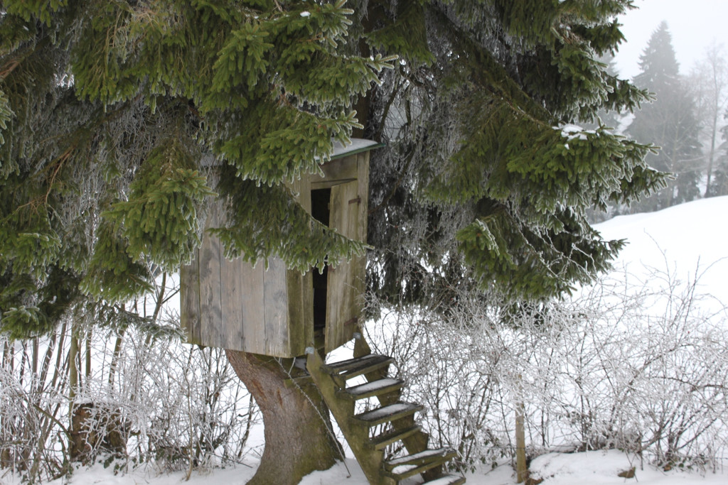 Winterwanderweg Pf__nderregion 2011 _14__jpg-1294047230