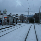 03012011vandalaktlinzlinienthaktivnews007.JPG