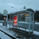 03012011vandalaktlinzlinienthaktivnews002.JPG
