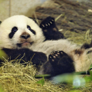 ABD0033-20110103.jpg