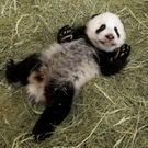 ABD0045-20101221.jpg