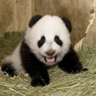 ABD0046-20101221.jpg