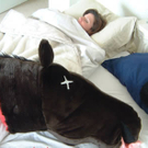 a423_horsehead.jpg