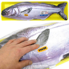 a423_salmon.jpg