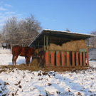 K800_P1230763.JPG