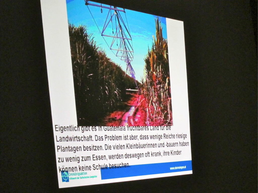 koe_Sternsinger ger__stet20_jpg-1294088540