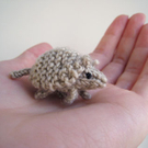 tinyarmadillo.jpg