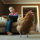 large_chicken1.jpg