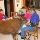 My_Unusual_Pet__2_.jpg