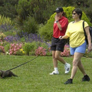 strange-pet-walking02.jpg