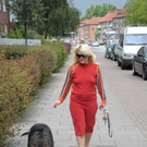 strange-pet-walking03.jpg