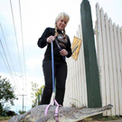 strange-pet-walking04.jpg