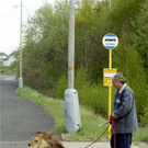 strange-pet-walking05.jpg