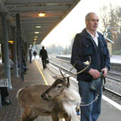 strange-pet-walking06.jpg