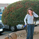 strange-pet-walking07.jpg