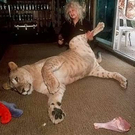 unusual_pet_131.jpg
