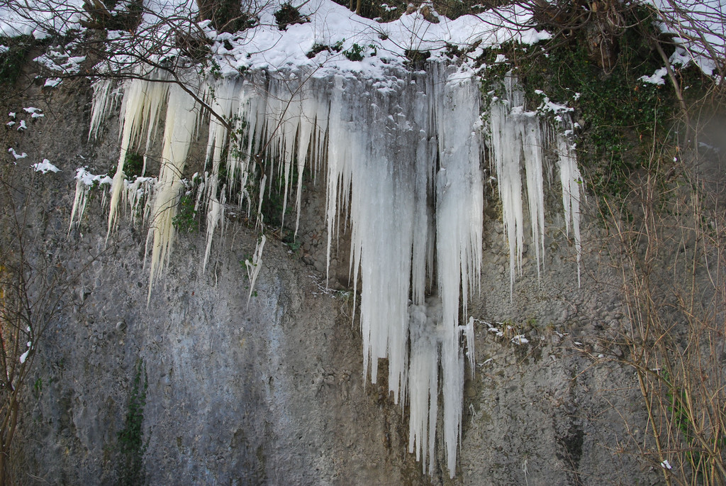DSC_8514_jpg-1294141922