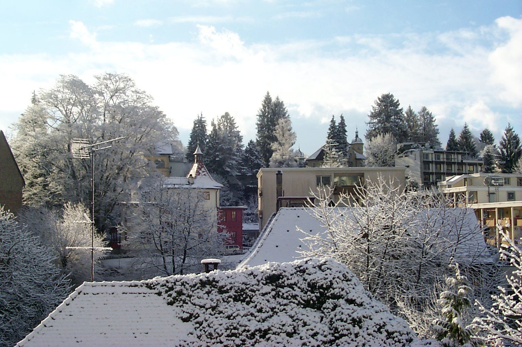 winter01_jpg-1294142303
