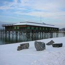 DSCN0585_jpg-1294141962