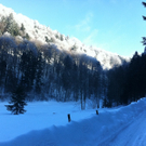 Winterwanderung __ber Bezegg 036_JPG-1294143800