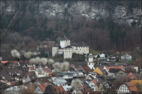 koe_Margarethenkapf _9_.jpg