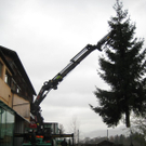 Bilder des Weihnachtsbaumes