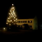 DSC_0009.jpg