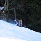 DSC_0966_jpg-1294243776