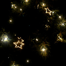 DSC_0015.jpg
