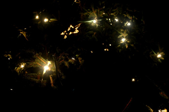 DSC_0018.jpg