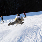 DSC_1011_jpg-1294243865