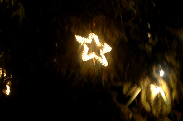 DSC_0020.jpg