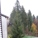 IMG_1173.jpg