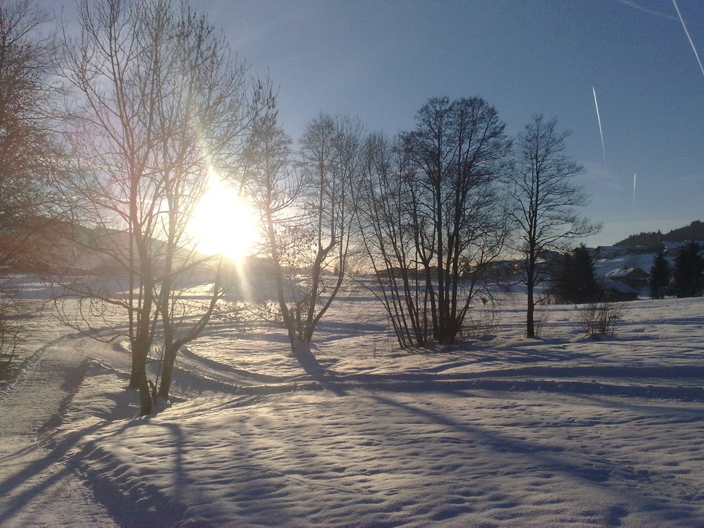 050120111068_jpg-1294245855