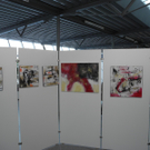 DSCN0726_JPG-1294299978