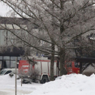 normal_06012011kirchdorfsaaktivnews003.jpg