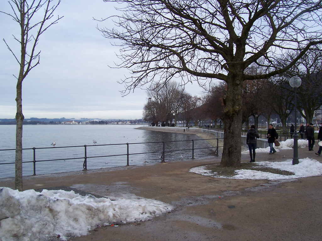 100_4799.JPG