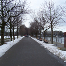 100_4800.JPG