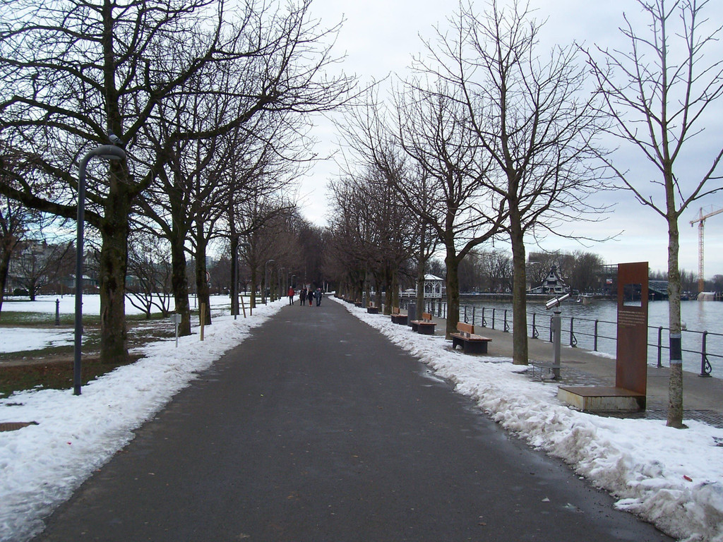 100_4800.JPG