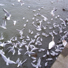 100_4805.JPG