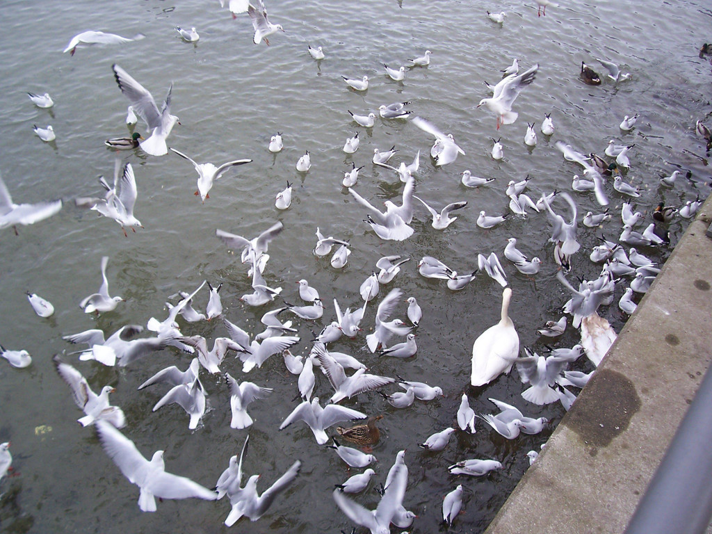 100_4805.JPG